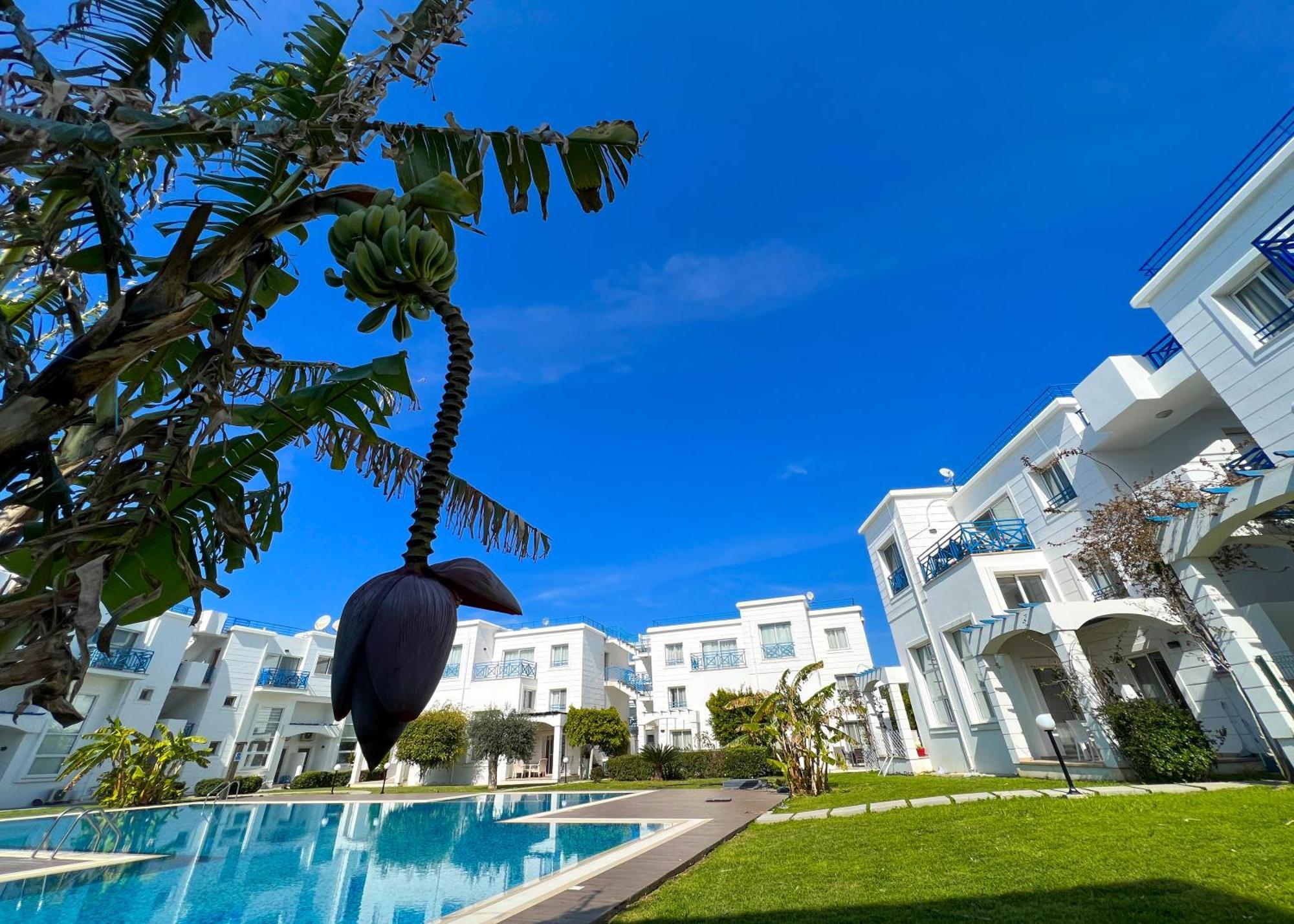 Garden Loft Apt With Pool In Alsancak Kyrenia Kyrenia  Luaran gambar